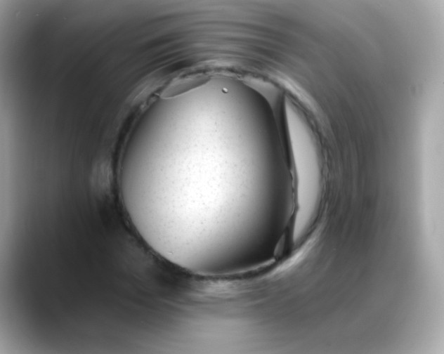 X0000088450969200706051303