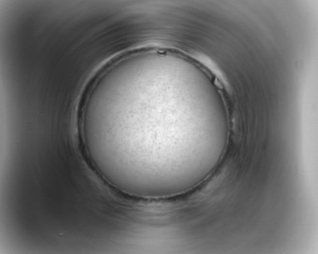 X0000088450972200706051303