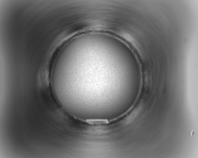 X0000088450973200706051303