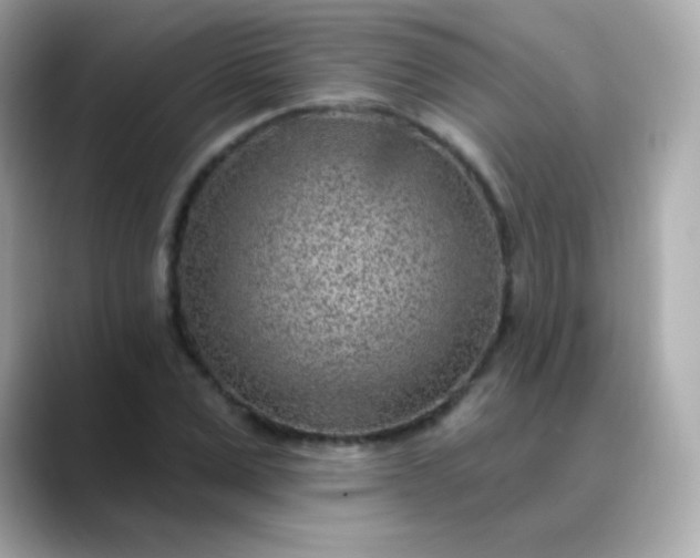 X0000088450975200706051303