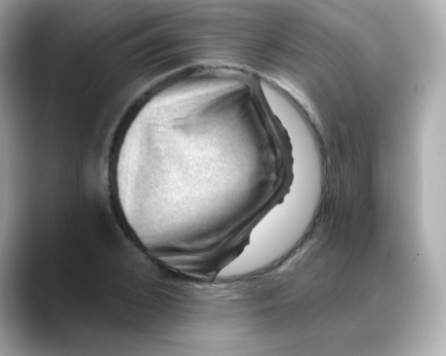 X0000088450976200706051303