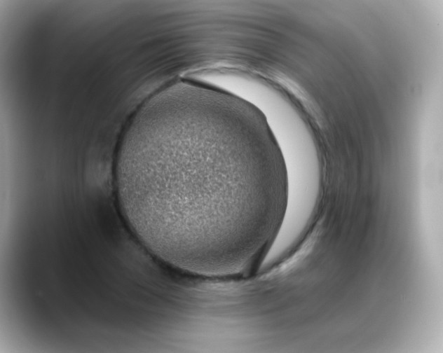X0000088450977200706051303