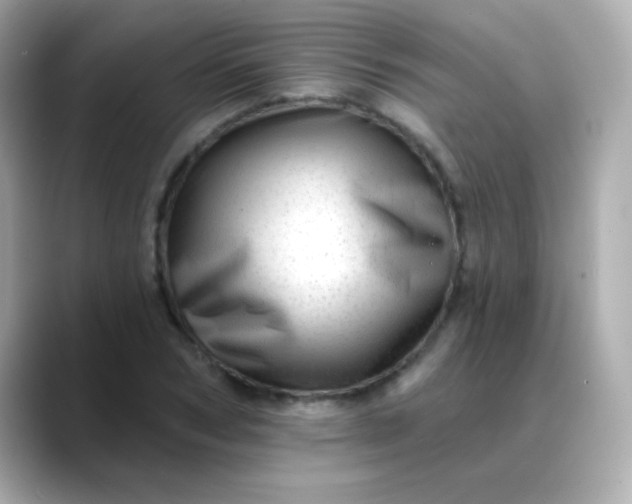 X0000088450978200706051303