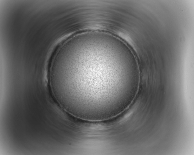X0000088450979200706051303