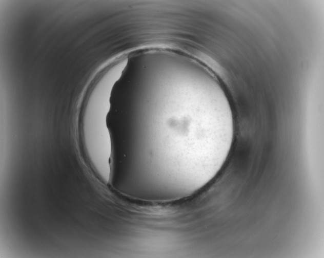 X0000088450980200706051303