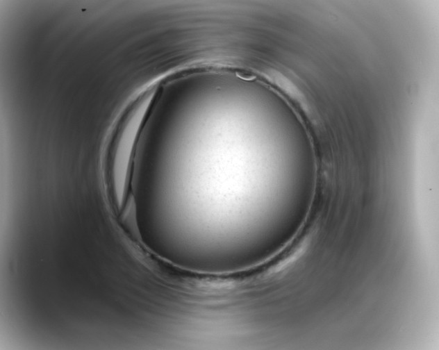 X0000088450981200706051303