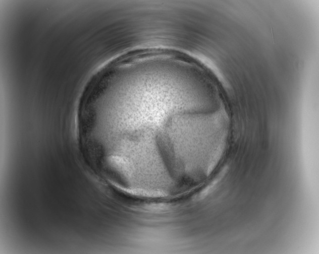 X0000088450982200706051303