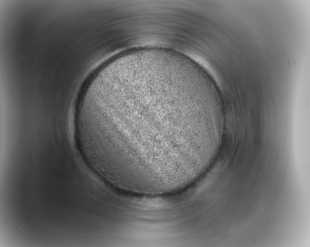 X0000088450983200706051303
