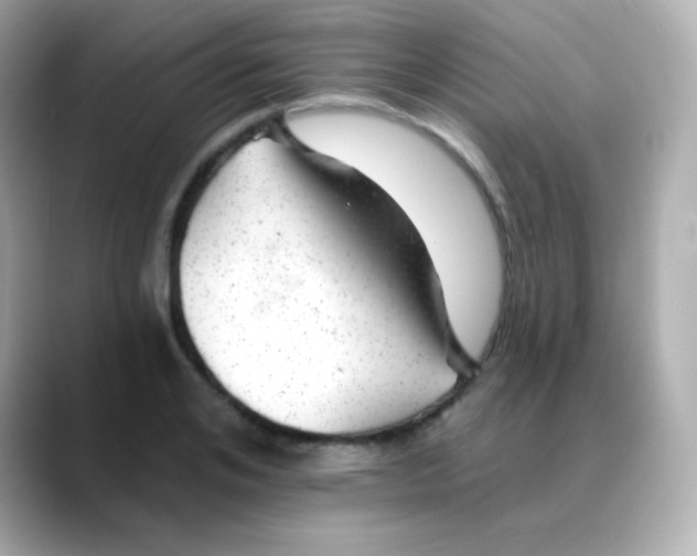 X0000088450984200706051303