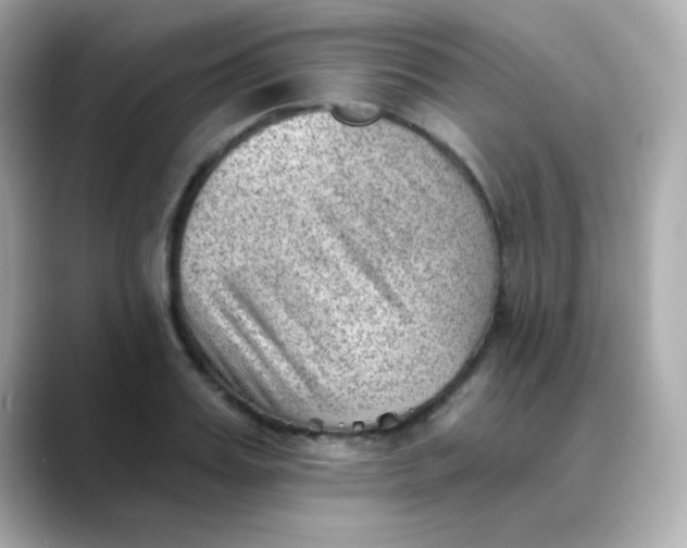 X0000088450987200706051303