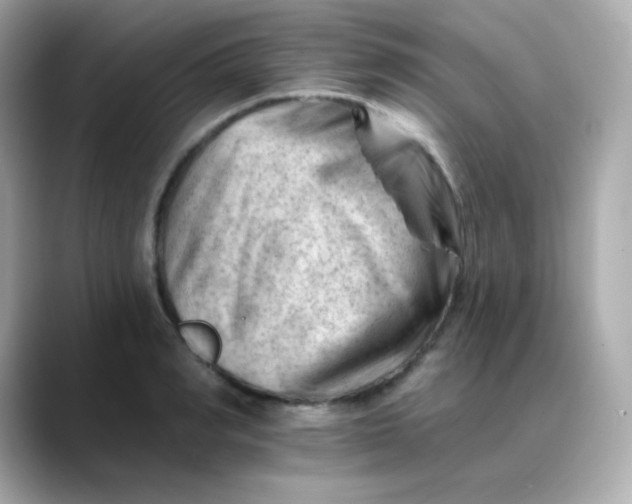 X0000088450990200706051303