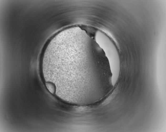 X0000088450991200706051303