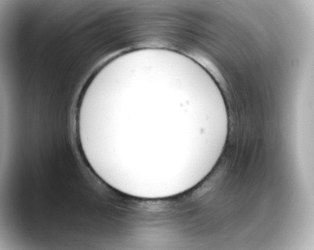 X0000088451000200706051303