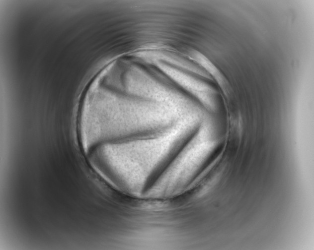 X0000088451002200706051303