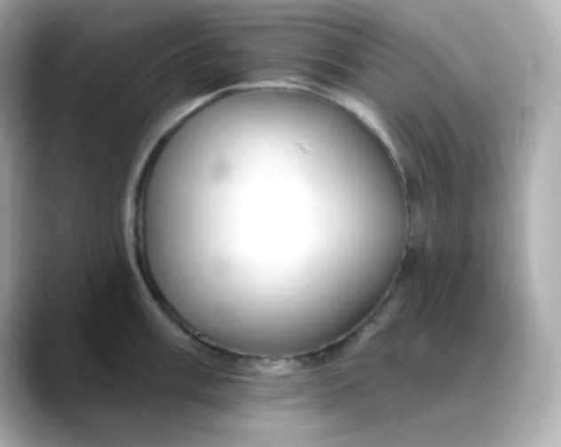 X0000088451003200706051303