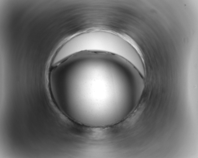 X0000088451005200706051303