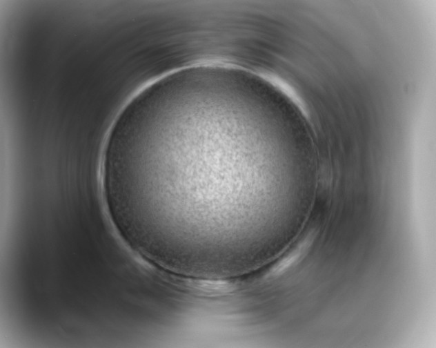 X0000088451007200706051303
