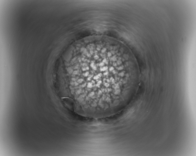 X0000088451009200706051302