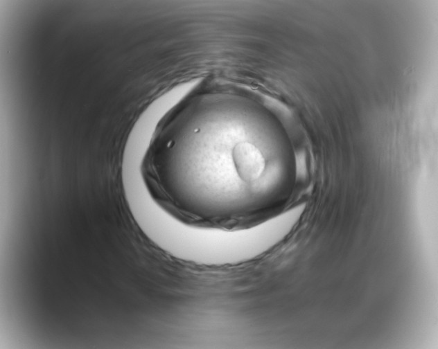 X0000088451010200706051302