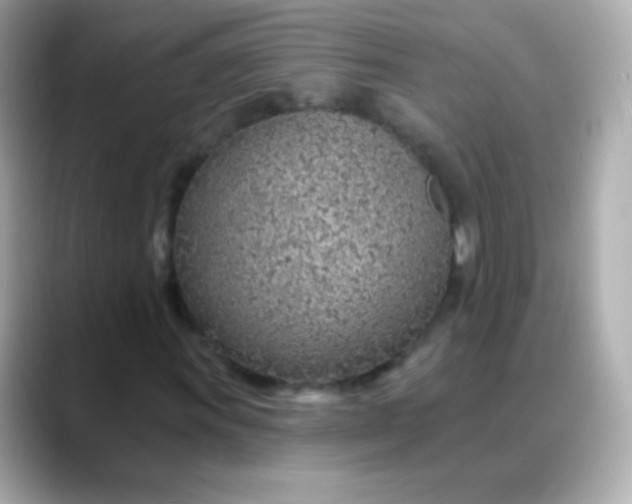 X0000088451011200706051302