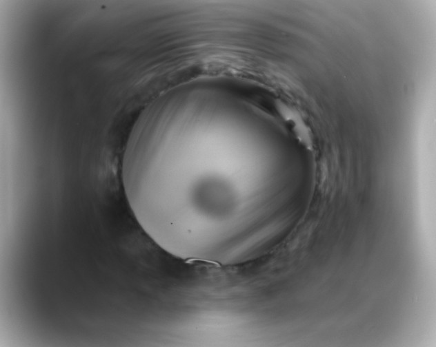 X0000088451013200706051302