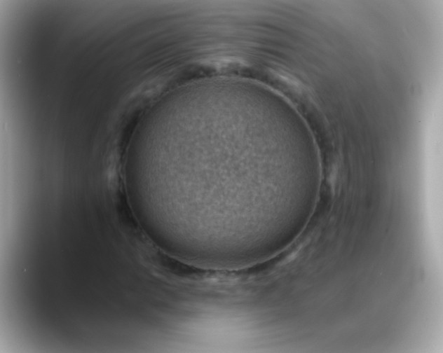 X0000088451014200706051302