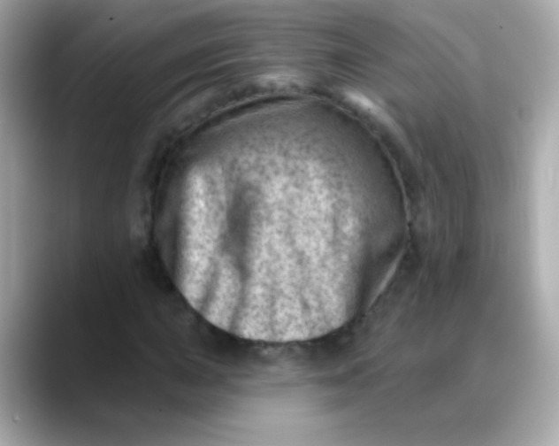 X0000088451015200706051302