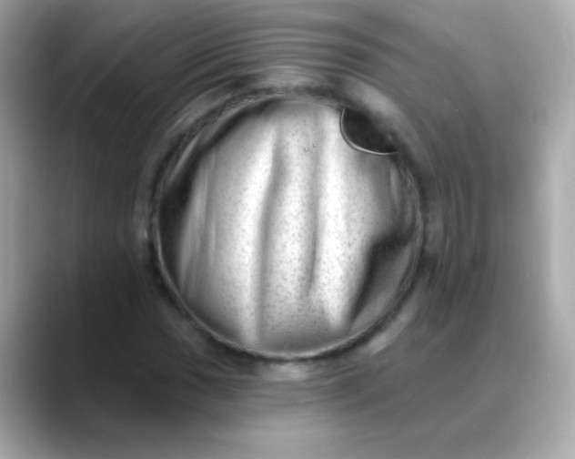 X0000088451017200706051302