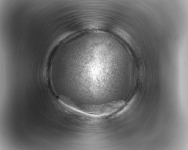 X0000088451018200706051302