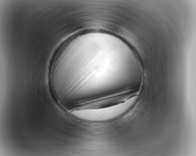 X0000088451020200706051302
