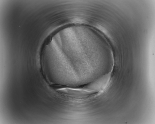 X0000088451022200706051302