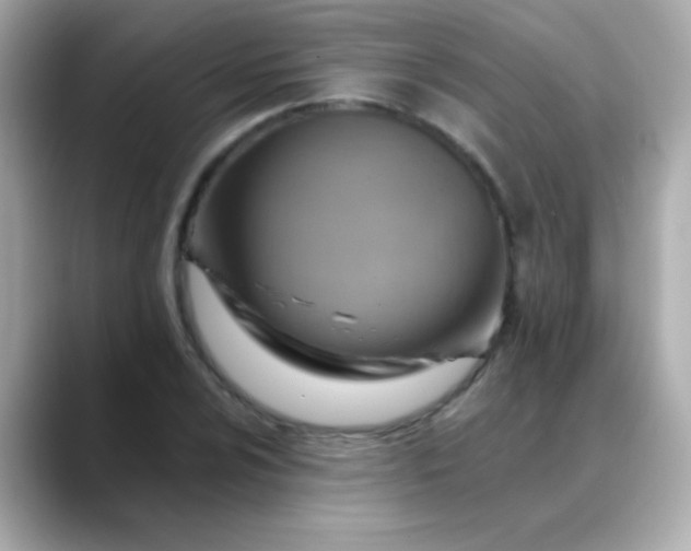 X0000088451024200706051302
