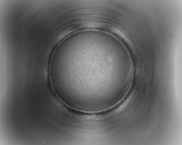 X0000088451025200706051302