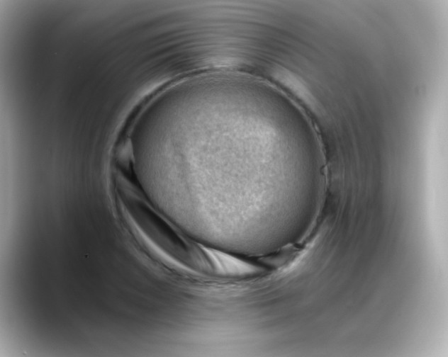 X0000088451026200706051302