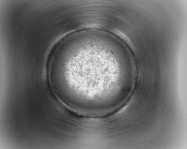 X0000088451027200706051302