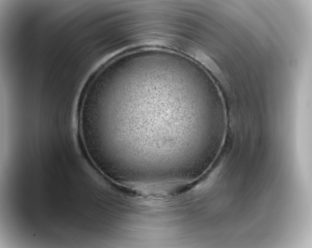 X0000088451028200706051302