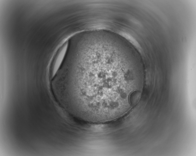 X0000088451031200706051302