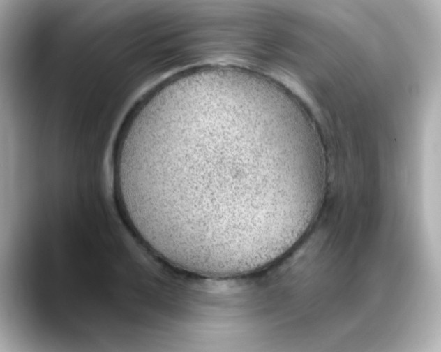 X0000088451032200706051302