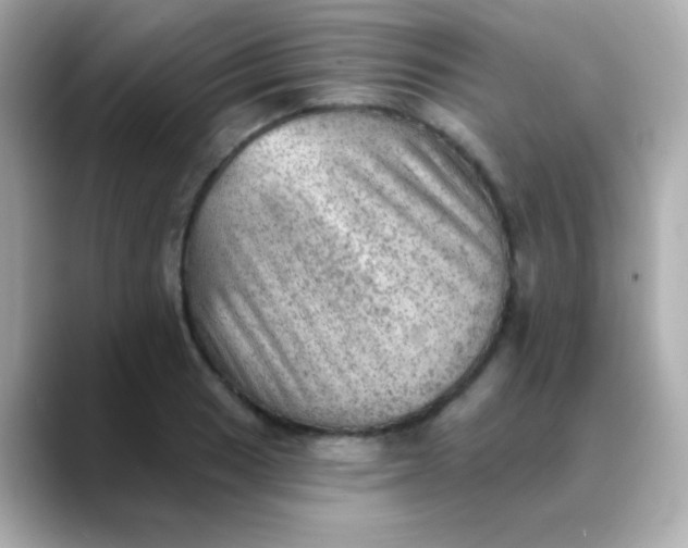 X0000088451033200706051302