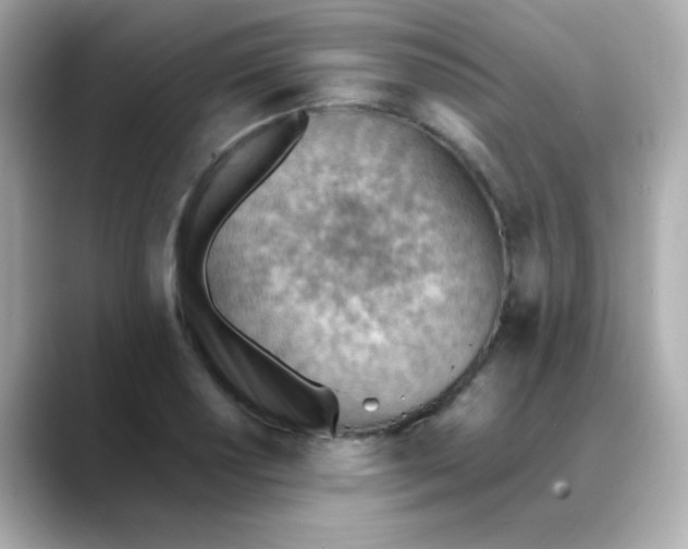 X0000088451034200706051302