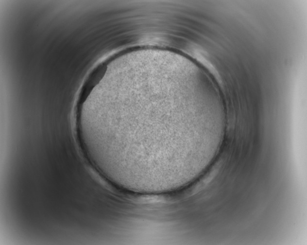 X0000088451037200706051302