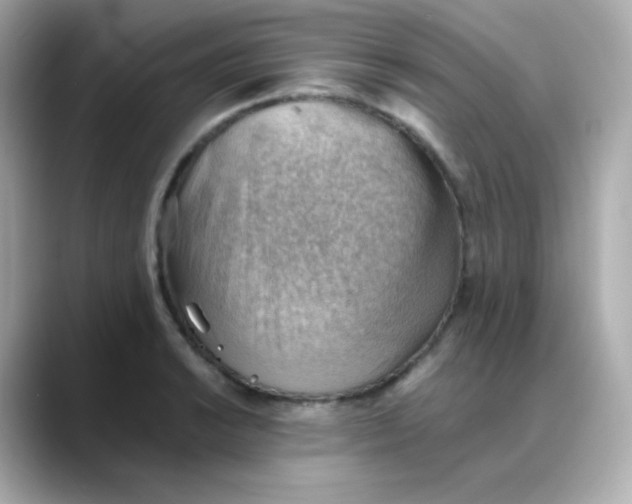 X0000088451038200706051302