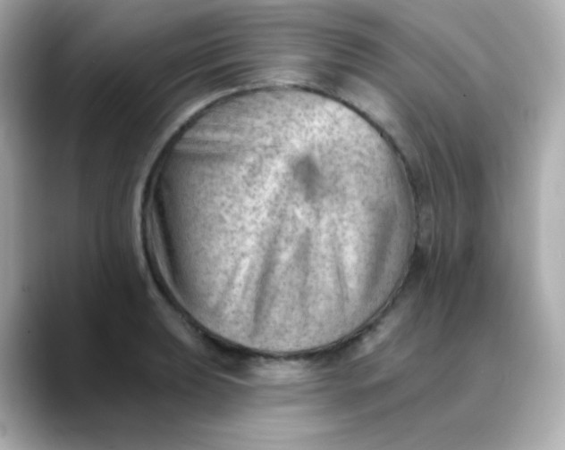 X0000088451039200706051302