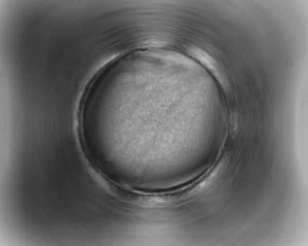 X0000088451042200706051302