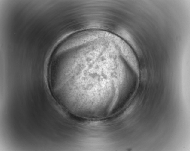 X0000088451043200706051302