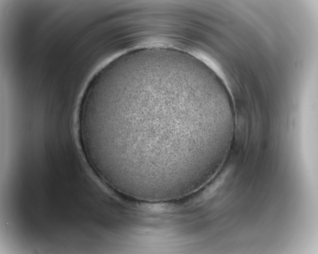 X0000088451045200706051302
