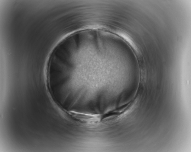 X0000088451046200706051302