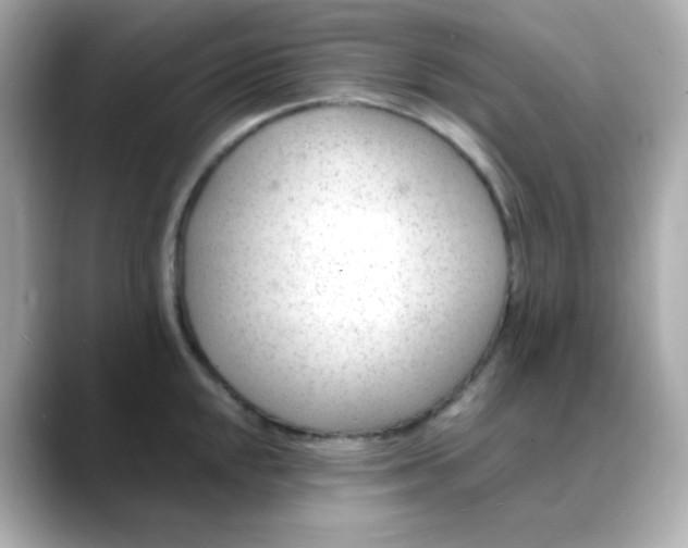 X0000088451048200706051302