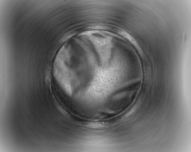 X0000088451049200706051302