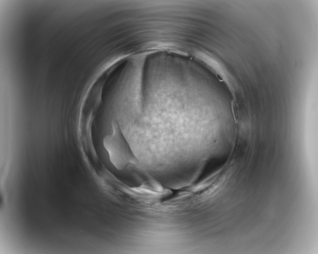 X0000088451050200706051302